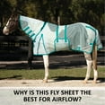 thumbnail image 2 of Schneiders Ripstop Nylon Mesh II Horse Fly Sheets | Attached Neck Euro Bellyband | Teal | 74, 2 of 9
