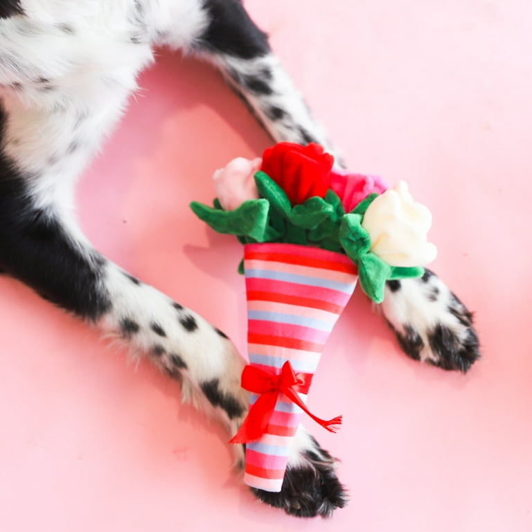  Toy Dog Valentines Gifts for ​​Girls Pet Dog Toys for