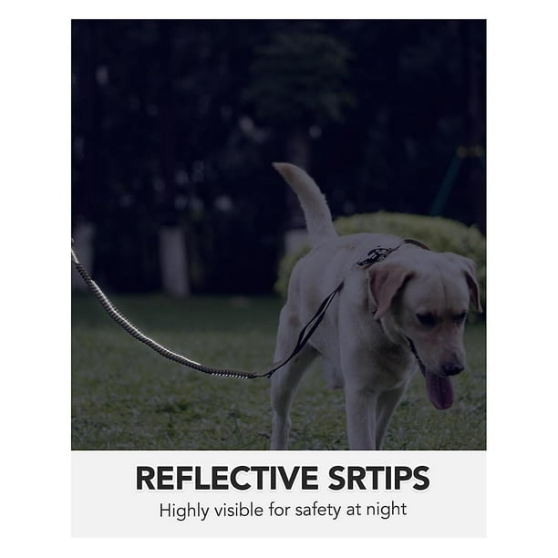 Dog leash with clip handle 2025