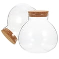 thumbnail image 4 of 2 botellas de vidrio transparente selladas para terrario, frascos de vidrio esféricos para micropaisajes., 4 of 7