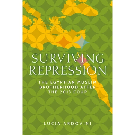 Identities and Geopolitics in the Middle Surviving Repression: The Egyptian Muslim Brotherhood After the 2013 Coup, (Paperback)