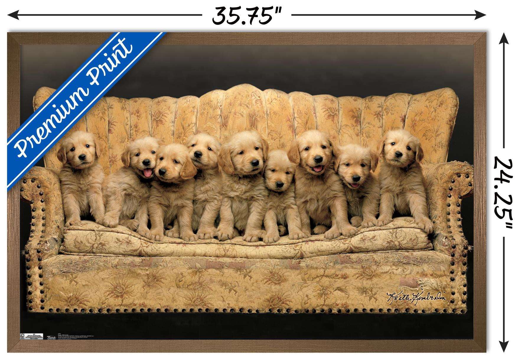 Keith Kimberlin - Puppies - Couch Wall Poster, 22.375" x 34", Framed