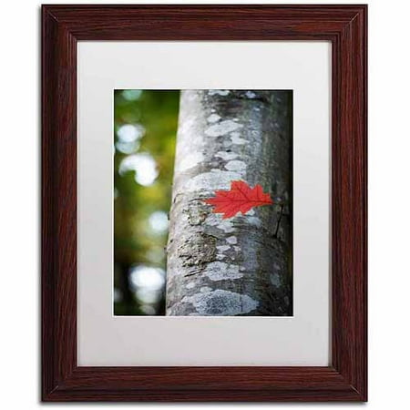 Trademark Fine Art  Solitary Red Leaf  Canvas Art by Philippe Sainte-Laudy  White Matte  Wood Frame