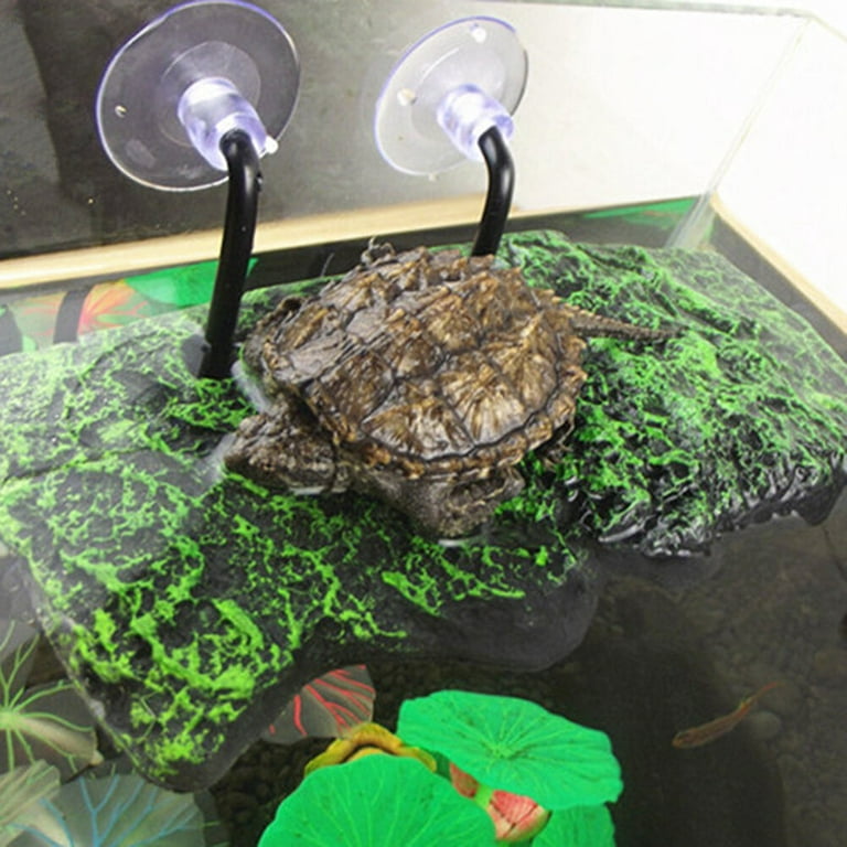 Hffheer Reptile Turtle Pier Decorative Reptile Floating Basking Platform Turtle | Desertcart