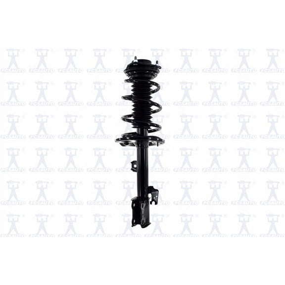 Suspension Strut and Coil Spring Assembly