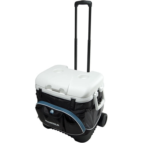 igloo 40 qt cooler