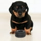 thumbnail image 5 of 2 juguetes interactivos con forma de neumático y sonido chirriante para mascotas, mordedores y masticables, para perros y cachorros, para una diversión interactiva y masticables, 5 of 7