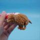 thumbnail image 4 of Hilarious Golden Retriever Puppy Poop Toothpaste Dispenser, Funny Toothpaste Dispenser, Pooping Dog Butt Toothpaste Topper, Golden Retriever Poop Toot, 4 of 5