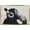 Gold Framed Version, variant on Chimp with Headphones on Wall Wall Poster with Push Pins, 14.725" x 22.375"