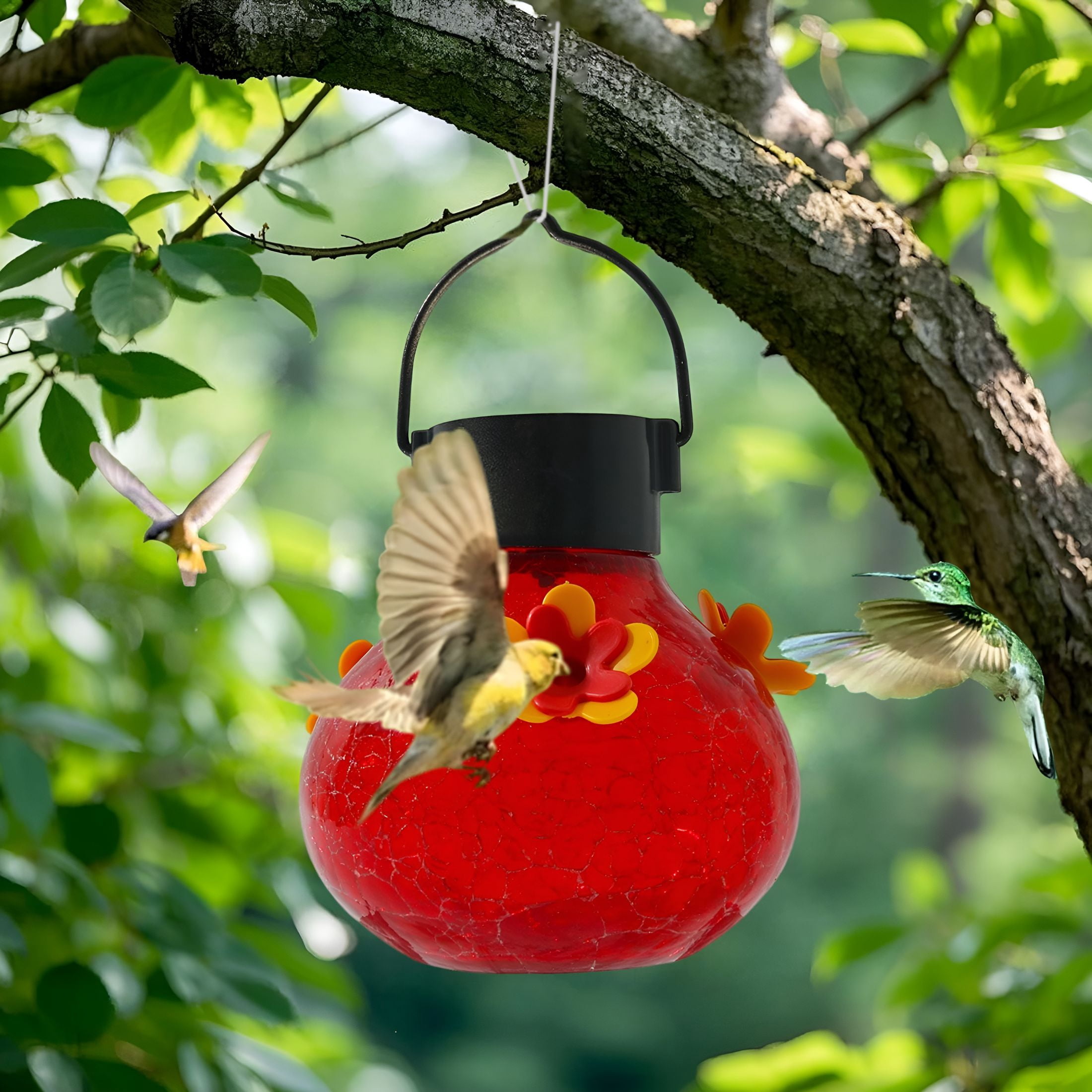 ACDANC Solar Hummingbird Feeder with LED Lights, Automatic Bird Glass Feeder, Outdoor Garden Patio Decor, Bird Attractor at Night, Easy to Hang Clean, 6.5x3.94 Inch, Multicolor