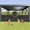 Black, variant on 42” Extra Tall Retractable Baby Gates with Rods, Extends up to 60” Wide, Tall Retractable Dog Gate for Doorways Prevent Crawling Through Mesh Pet Gate Indoor Outdoor, Black