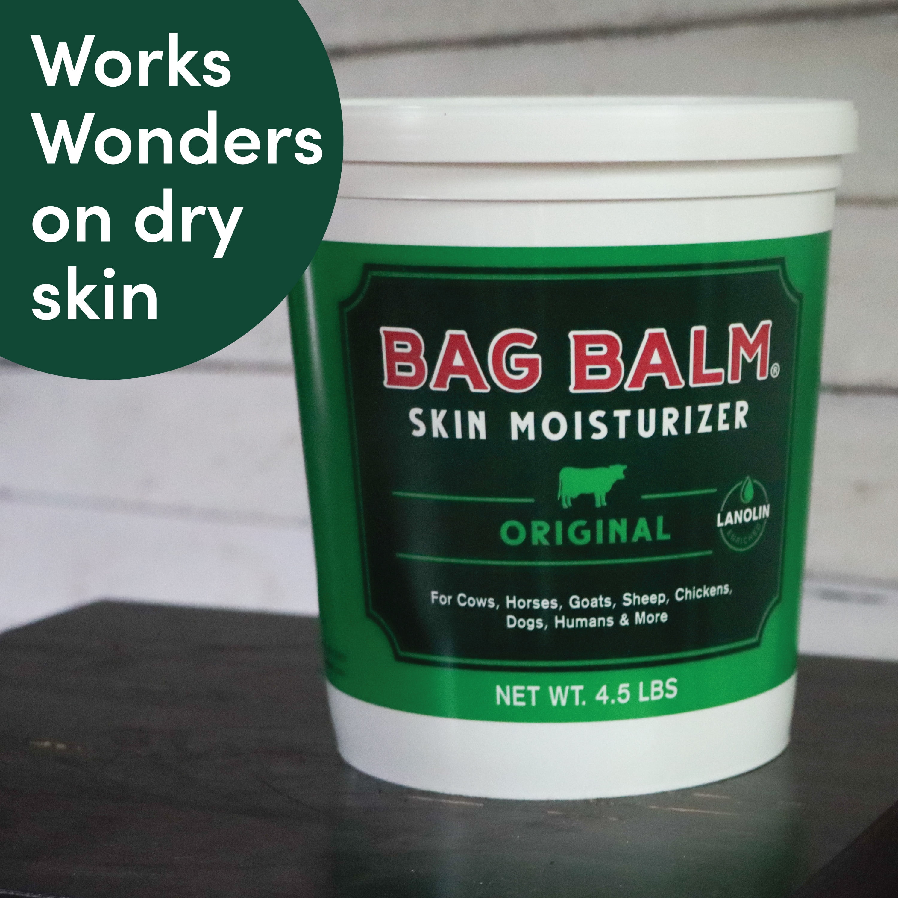 (2 pack) Vermont's Original Bag Balm Moisturizing Ointment for Animals, Pets, Livestock, Paws, Jumbo Pail