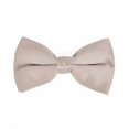 thumbnail image 2 of boxed-gifts Nœud Papillon Homme Couleur Unie (Argent), 2 of 3
