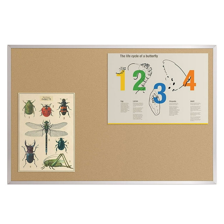 BestRite Valu-Tak Tackboard With Aluminum Trim - Traditional Cork Bulletin Board, Self-Healing Surface