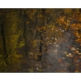 thumbnail image 2 of Talen, Nel 24x20 Gold Ornate Wood Framed with Double Matting Museum Art Print Titled - Autumn Impression, 2 of 4