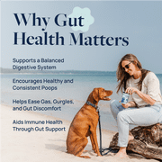 Veterinary Formula Gut Health Supplement for Digestion Support, Smart Vitality for Dogs, 60 chews