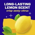 thumbnail image 6 of Mr. Clean Floor Cleaner, All Purpose Cleaner, Mop Soap, Lemon, Anti-Bacterial, 64 fl oz, 6 of 8