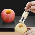 thumbnail image 4 of 304 stainless fruit corer and seed remover—multi-purpose tool for apples, pears and firm vegetables, 4 of 6