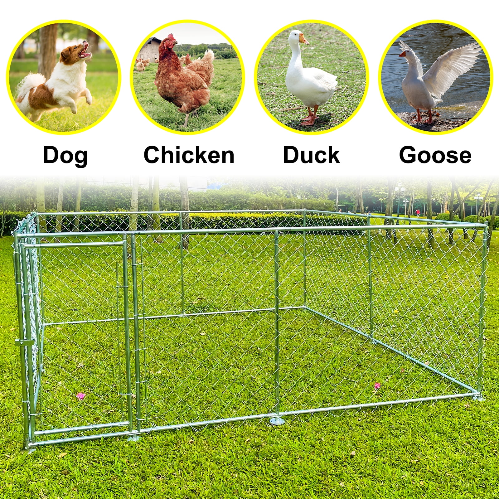 JBLCC 10 x 10 Heavy Duty Galvanized Chain Link Dog Kennel Enclosure for Large Dogs Outdoor Dog Cages