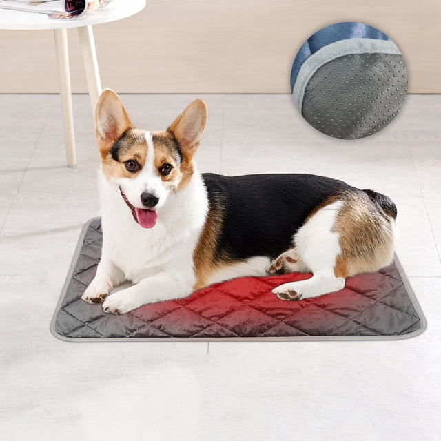 Cama térmica para gatos y perros, impermeable, cálida y térmica, para decoración de interiores y exteriores, plegable, portátil, con marco de metal para dormitorio.