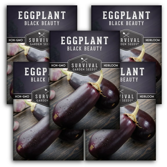 Black Beauty Eggplant Seeds - 5 Pack - Non-GMO Heirloom Full Sun Annual Vegetable