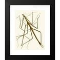 thumbnail image 2 of John Obadiah Westwood 19x24 Black Modern Framed Museum Art Print Titled - The Cabinet of Oriental Entomology Pl XXXIII (1848), 2 of 5