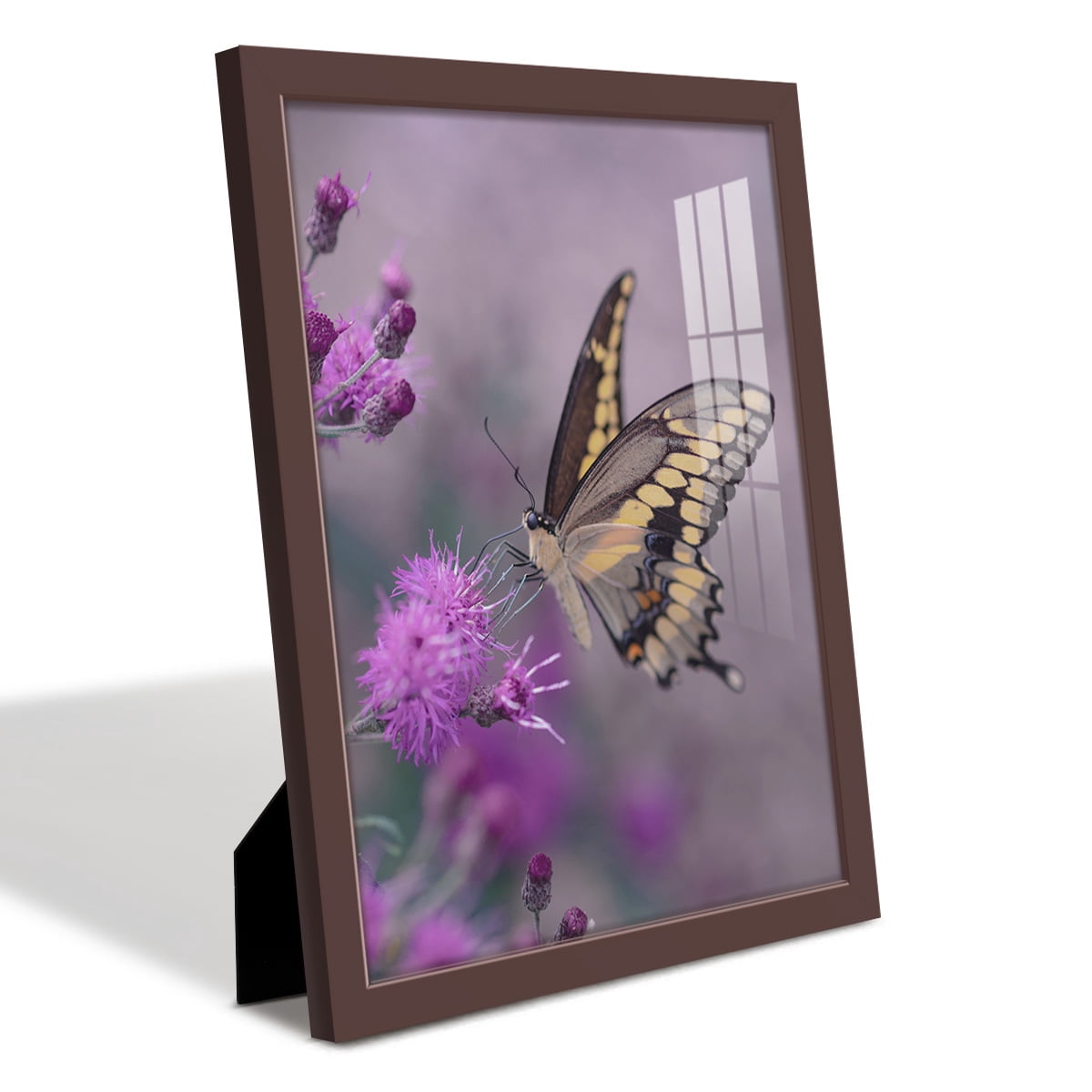 Modern 11 in. x 14 in. Brown Picture Frame (Set of 4)