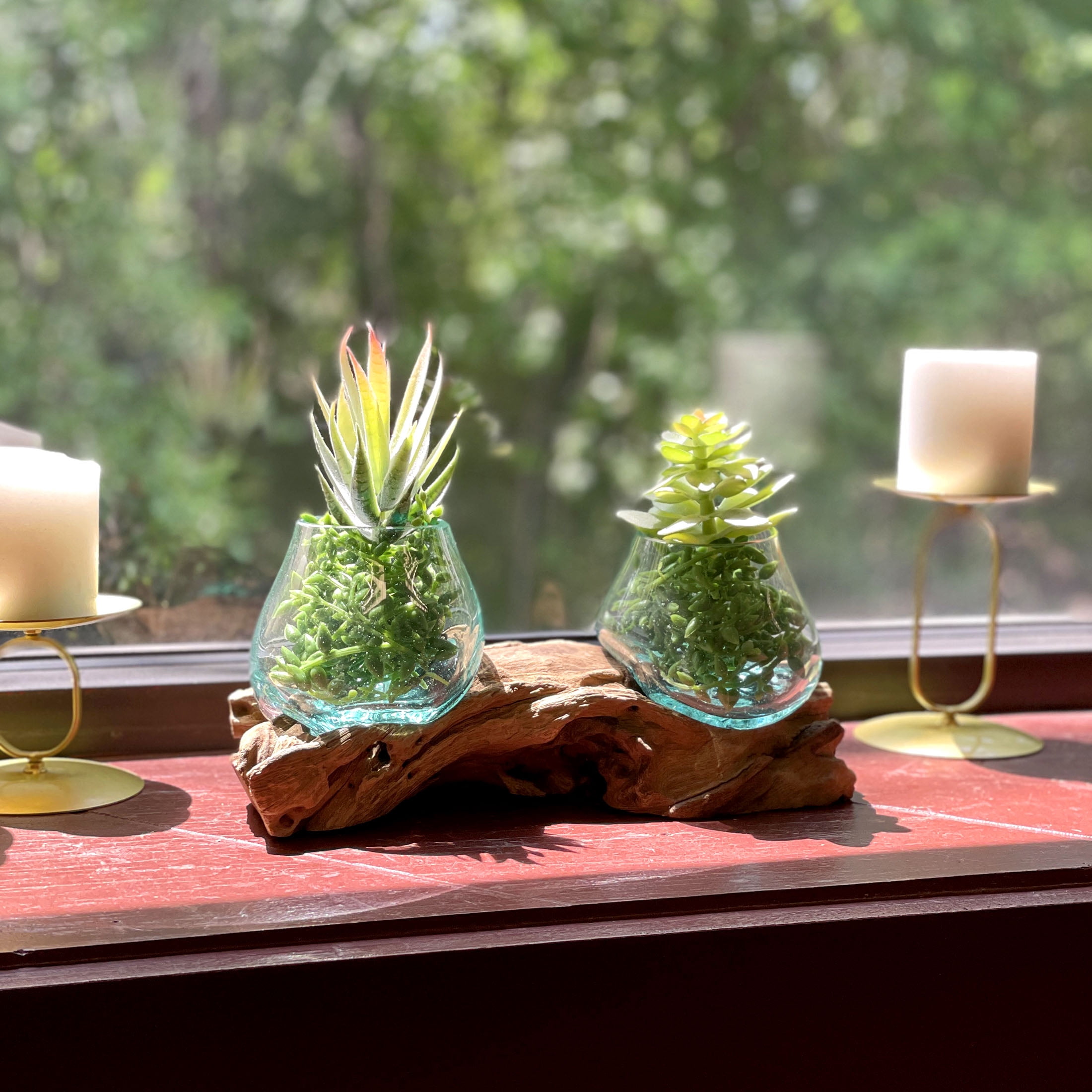 Things2Die4 10.5" Double Molten Glass Bowls on Driftwood Hand Blown Planter Terrarium Decor - Natural - Size 10.5 inch Double Bowl