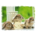 thumbnail image 3 of CafePress - Happy Easter Trio Of Bunnies Large Mug - 15 oz Ceramic Large White Novelty Mug, 3 of 4