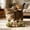 A, variant on Catnip and Silvervine Chew, Natural Fishbone Chew Toy for Cats, Fishbone-Shaped Cat Dental Toy for Chewing, Licking, Pawing, Boredom Relief & Enrichment for Cats 