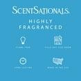 thumbnail image 4 of Bubbles Scented Wax Melts, ScentSationals, 2.5 oz, 4 of 7