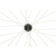 DT Swiss Champion 2.0 267mm Black Spokes Box of 72