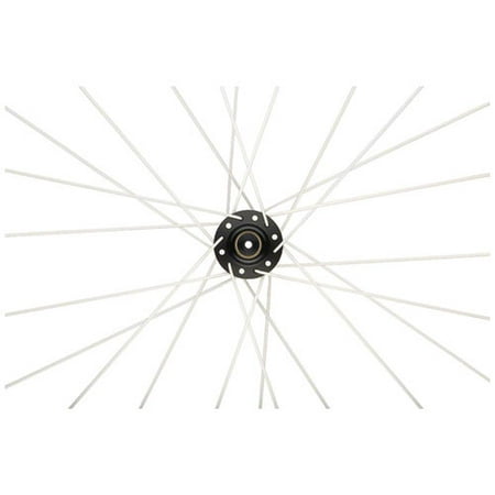 DT Swiss Champion 2.0 267mm Black Spokes Box of 72