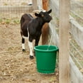 thumbnail image 3 of Farm Innovators 3 Gal Flat Back Plastic Heated Bucket, 70W, Green (2 Pack), 3 of 8