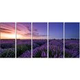thumbnail image 2 of Beautiful Lavender Flowers At Sunset - Floral Canvas Art Print, 2 of 3