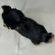thumbnail image 5 of Peluche de Yorkshire Terrier realista | Perro de peluche realista para niños | Regalo educativo sensorial | Yorkie negro de 23 cm, 5 of 5