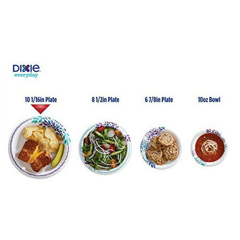 Dixie 10 Inch Paper Plates, Dinner Size Printed Disposable Plate, 204 Count