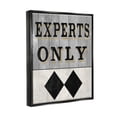 thumbnail image 3 of Stupell Industries Experts Only Ski Black Diamond Graphic Art Jet Black Floating Framed Canvas Print Wall Art, Design by Livi Finn, 3 of 6