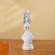 thumbnail image 4 of Estatua de 19 cm de la Nacimiento de Venus en estilo grecorromano, de resina, con detalles exquisitos, diseño en blanco, decoración para el hogar, objeto de colección, regalo para amantes del arte, 4 of 8
