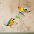 thumbnail image 3 of Percha para Pájaros, Periquitos, Rampa de Escalada con Ventosa, Ahorra Espacio, Percha para Loros, Periquitos y Cacatúas para Pared B., 3 of 7