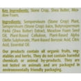 thumbnail image 3 of Eminence Organic Skincare Stone Crop Gel Wash, 4.2 Fl Oz, 3 of 5