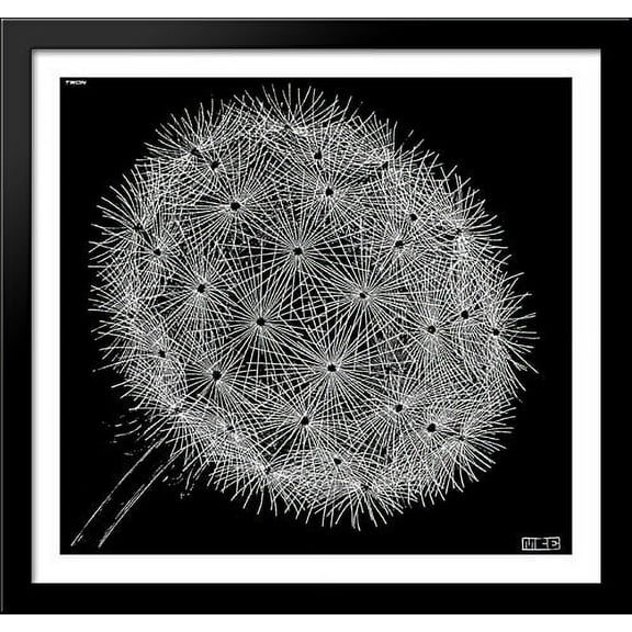 Blowball II 30x28 Large Black Wood Framed Print Art by M.C. Escher