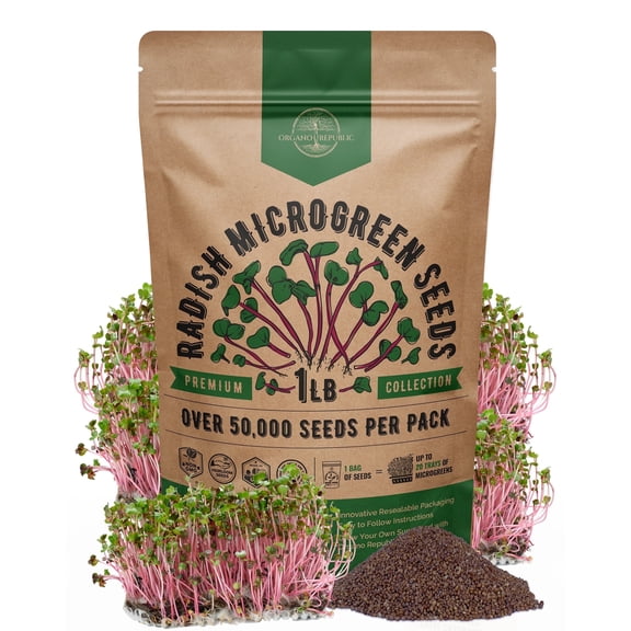 Organo Republic 50,000+ Radish Sprouting & Microgreens Seeds 1lb, Non-GMO Heirloom Sprout Seeds Kit