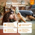 thumbnail image 2 of Zesty Paws Liver Support Bites Chicken Flavor 90 Count, 2 of 8