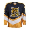 thumbnail image 1 of Teamwork Athletic Apparel Adult Hockey Jersey w/Dazzle Inserts, 1 of 1
