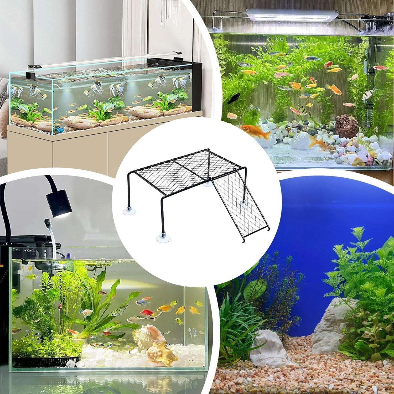 Floating Turtle Basking Platform, Suction Cup Island Dock, Climbing Ladder, for Aquatic Turtle Tank