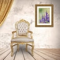 thumbnail image 3 of Pryor-Luzier, Maresa 11x14 Gold Ornate Wood Framed with Double Matting Museum Art Print Titled - Rocky Mountain Beardtongue-Rocky Mountain Penstemon flowers-Sandia Mountains-New Mexico, 3 of 4
