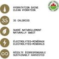 thumbnail image 3 of Maple 3 Organic Maple Water, 100% Natural Hydratation, Straight from a Tree, 1 Ingredient (Maple Sap), 46 Essential Bioactive Compounds,Eco-Friendly Packaging, Sustainably Sourced, Pack of 12x1L, 3 of 5