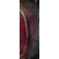 thumbnail image 3 of Brown, Victoria 9x18 Black Modern Framed Museum Art Print Titled - Fused Peacock 3, 3 of 5