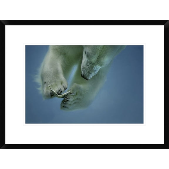 Global Gallery Peter Wagner 'Icebaer' Framed Wall Art